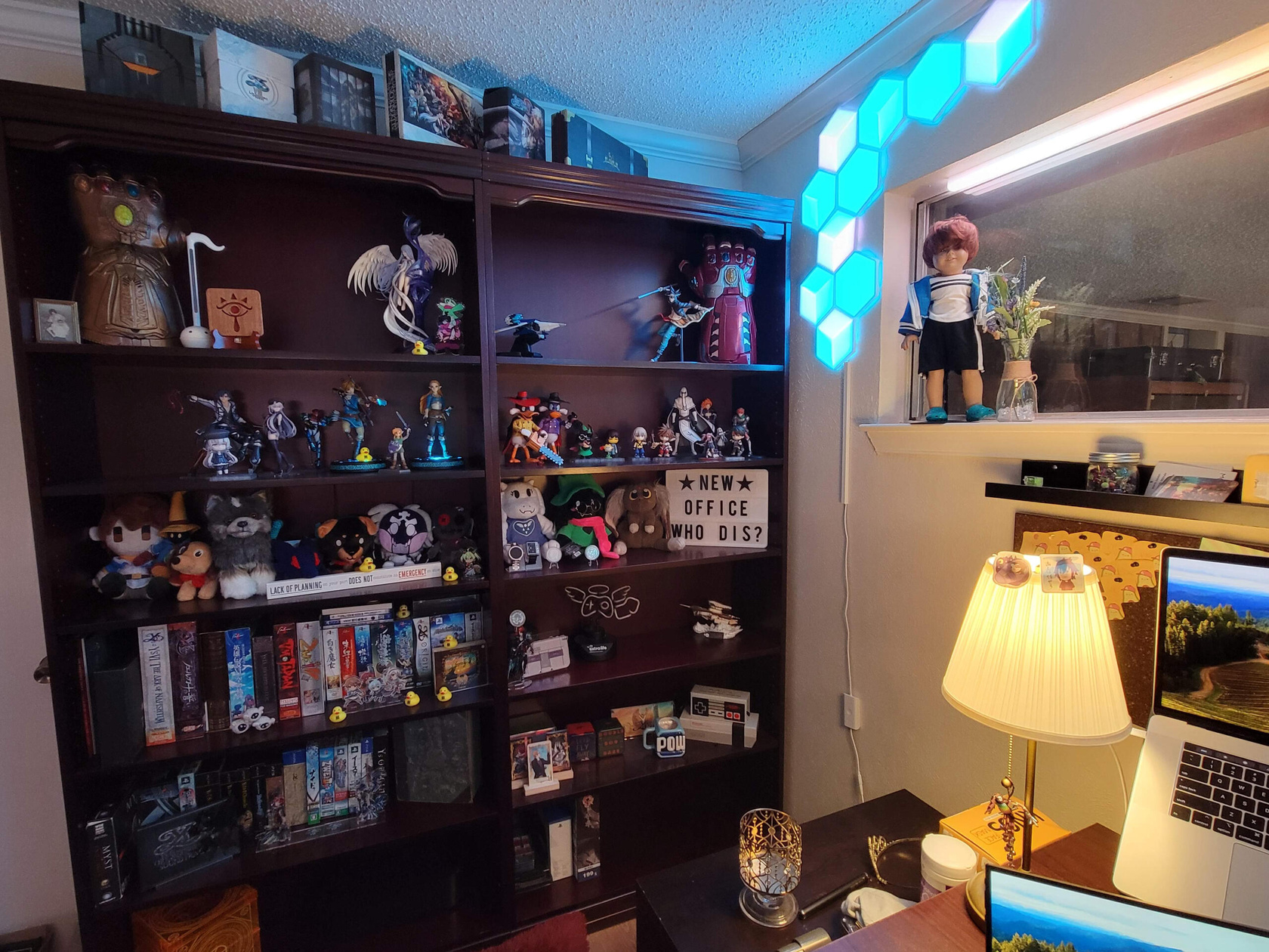 The new shelves are still a work in progress.